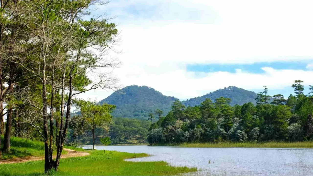 100+ ảnh hình nền máy tính đẹp tuyển chọn đa dạng · ảnh 1