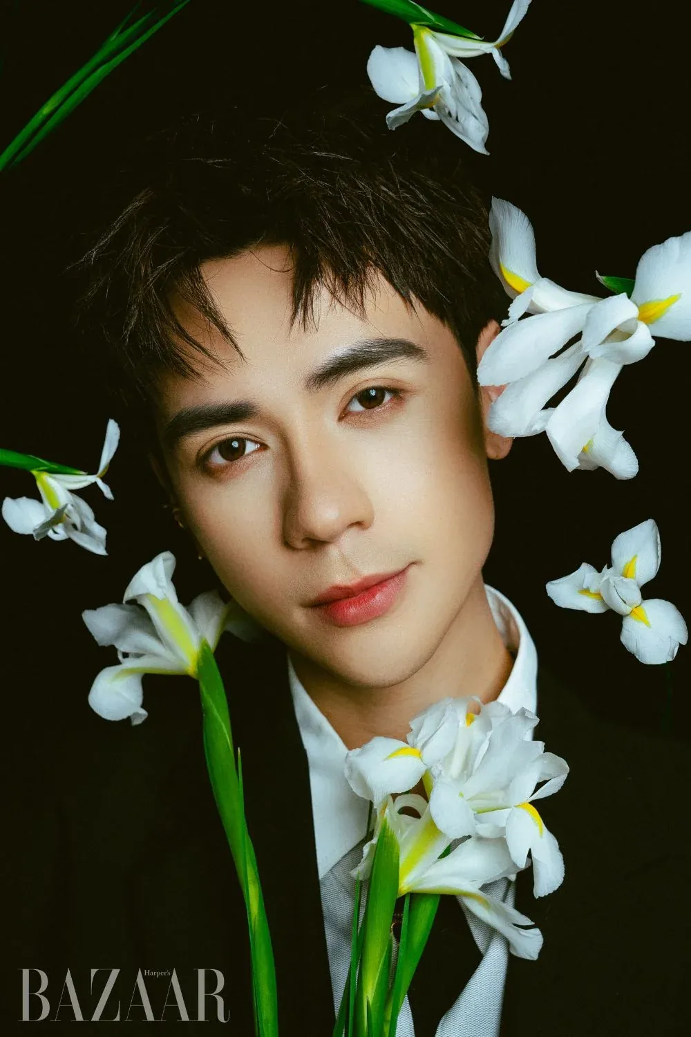 100+ ảnh quang hùng masterd đẹp rạng ngời