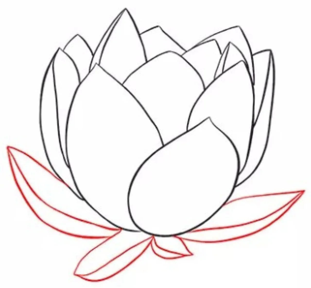 100+ ảnh vẽ hoa sen đẹp mắt, thanh tao · ảnh 3