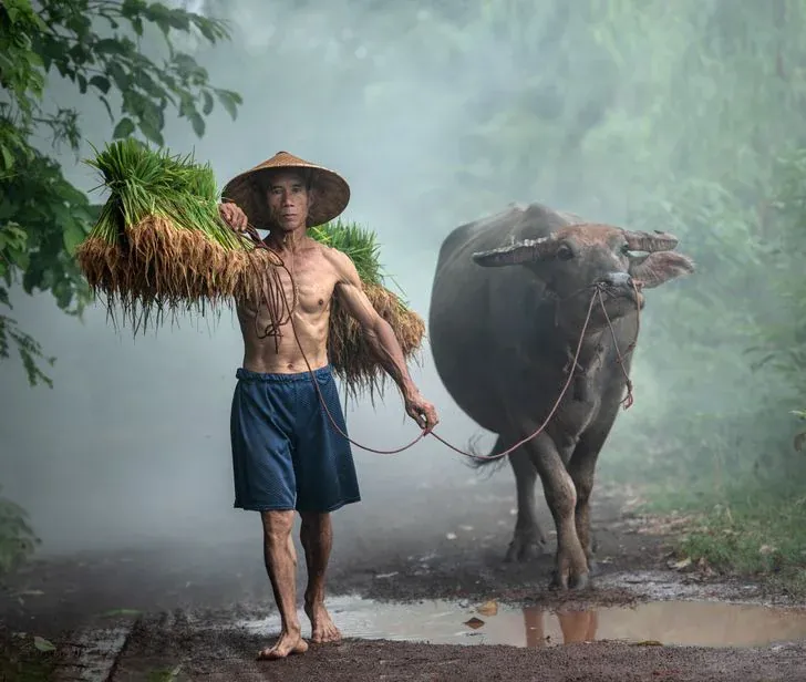 100+ hình ảnh đẹp làm mới màn hình cực mãn nhãn · ảnh 1