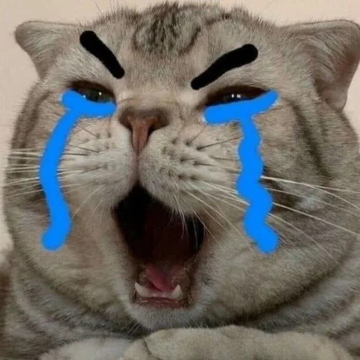 Tuyển tập 100+ meme mèo khóc hài hước · ảnh 1